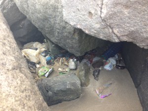 "Nidos de basuras en el dique sur