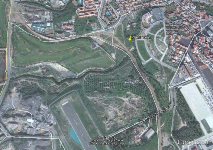 plantación Arroyo Alfonso XIII
