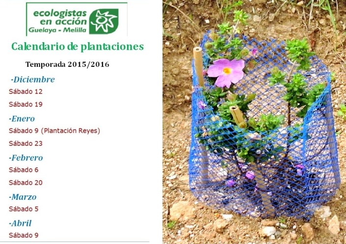cartel plantaciones (1)