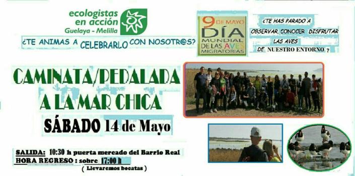 Cartel día de las aves migratorias 2016