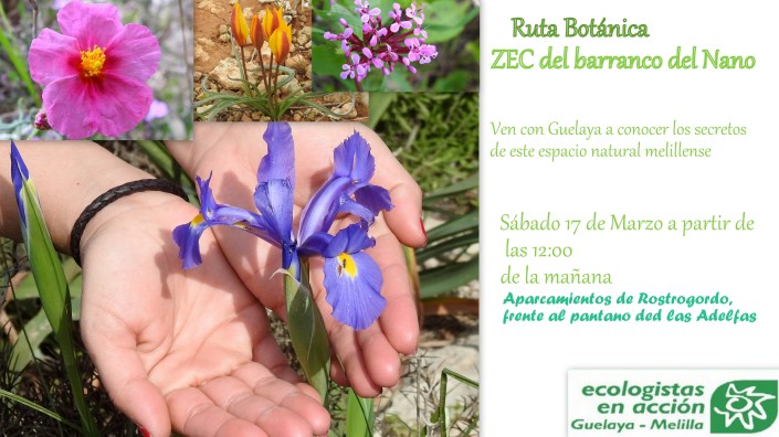 cartel ruta botánica