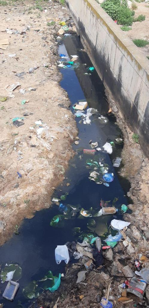 arroyo mezquita salida aceites