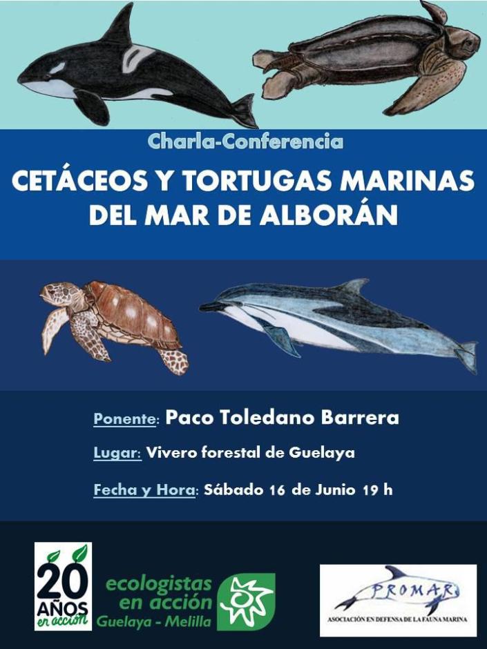 cartel cetaceos