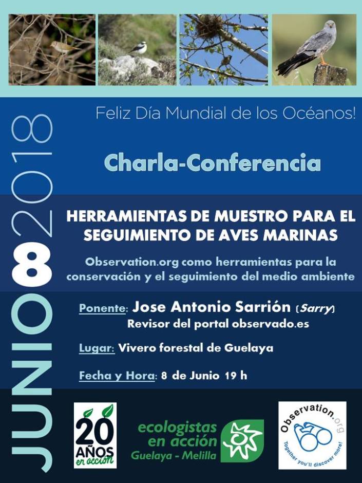 cartel_aves_melilla