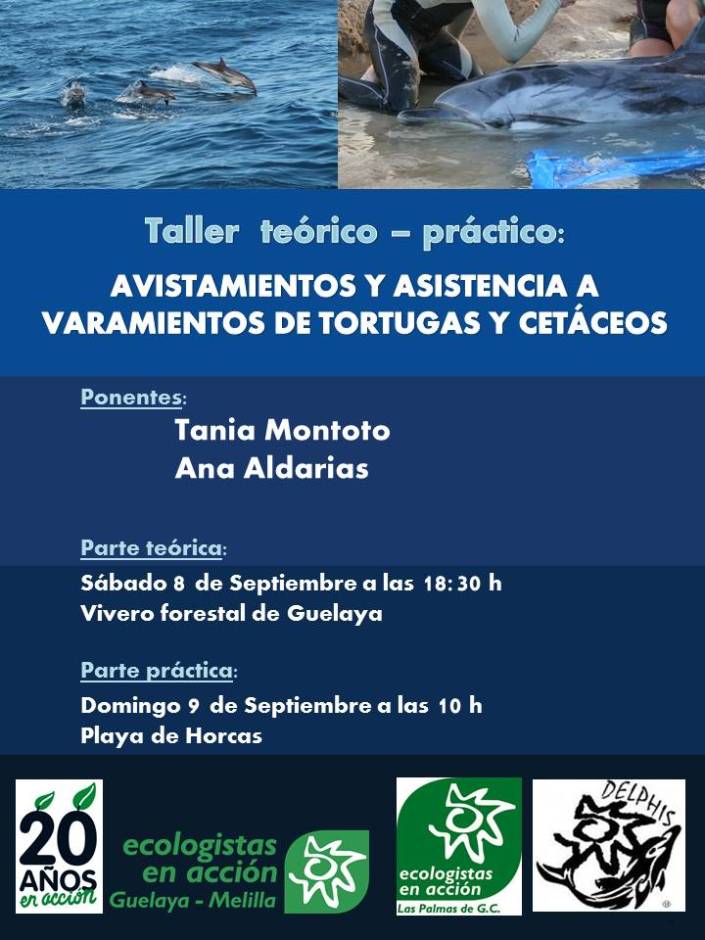 taller avistamientos y varamientos