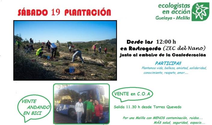 cartel reforestacion 19 enero