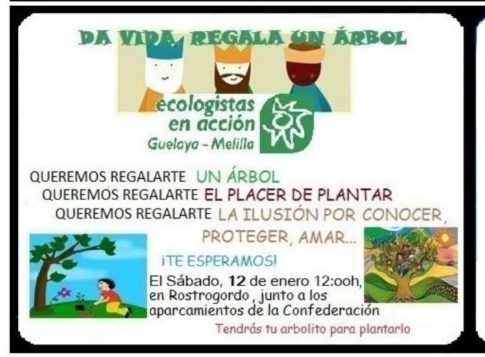 cartel reforestacion solidaria 2019