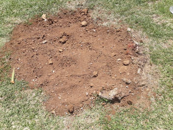 cerco que dejó el drago centario en el parque hernández