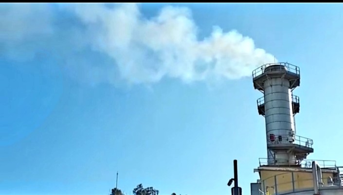 una sola chimenea, endesa contamina como gran combustión