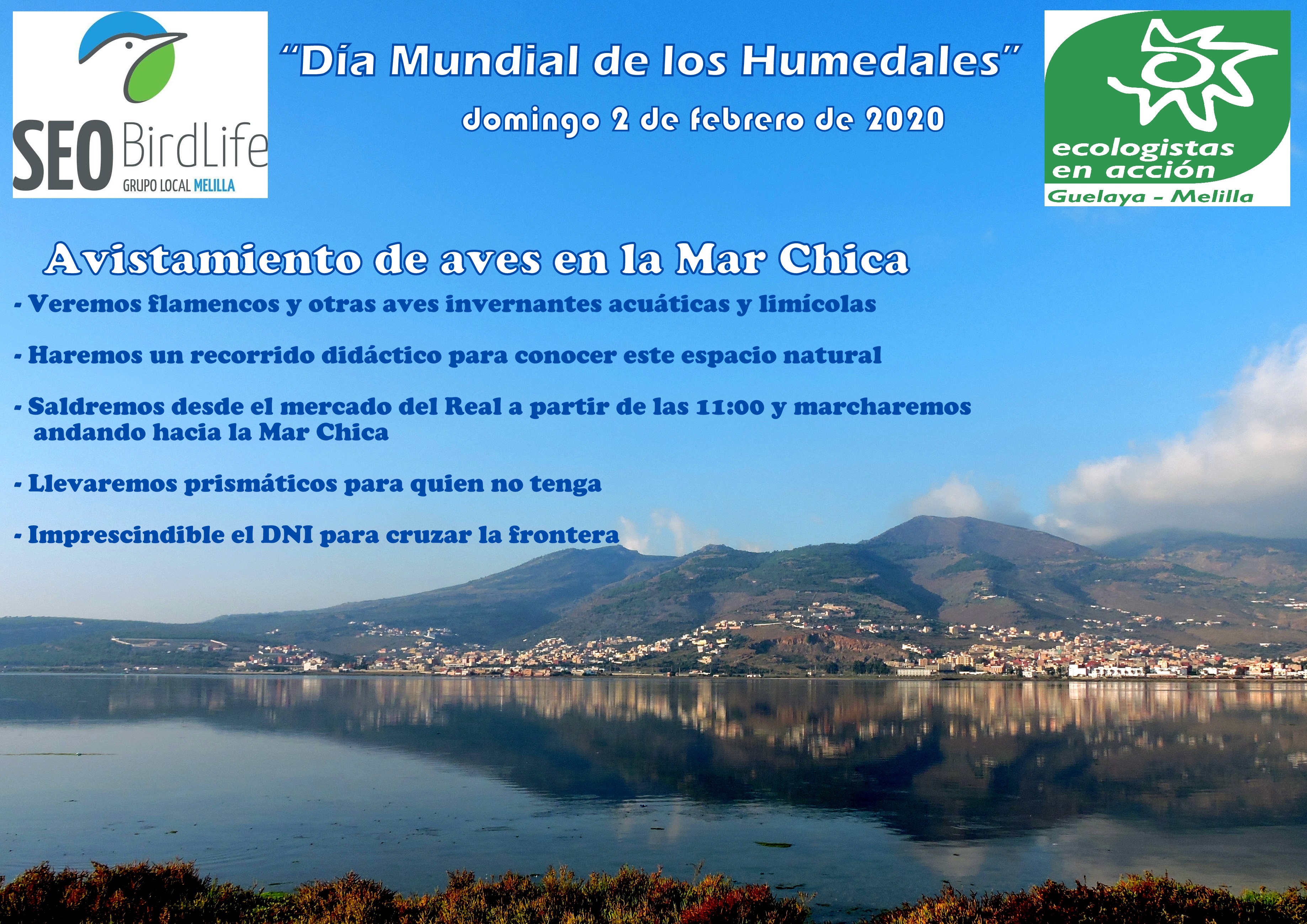 cartel excursión domingo