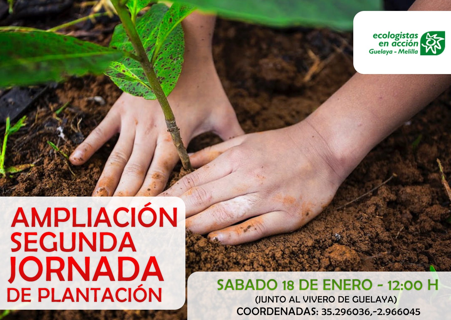 cartel reforestacion 18 enero