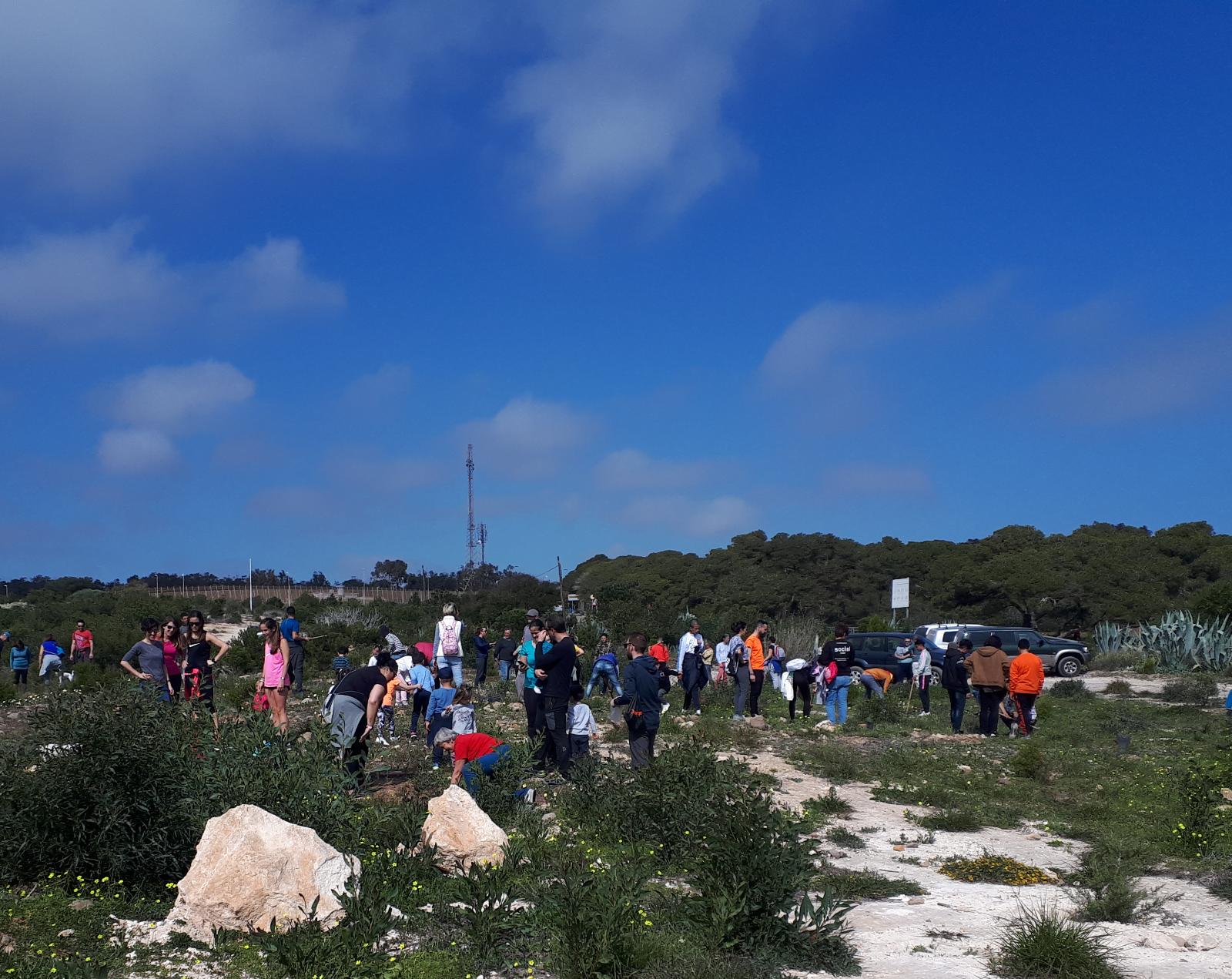 reforestacion guelaya 15 de febrero