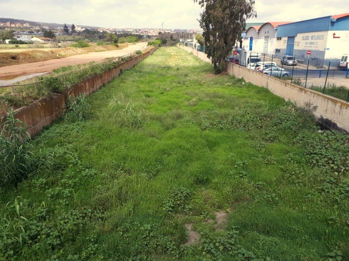 arroyo Mezquita durante el confinamiento del COVID 19 en Melilla