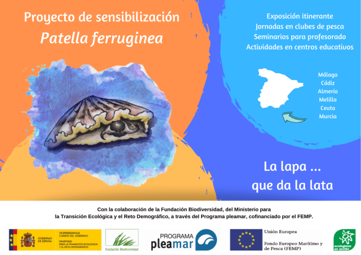 cartel proyecto Patella